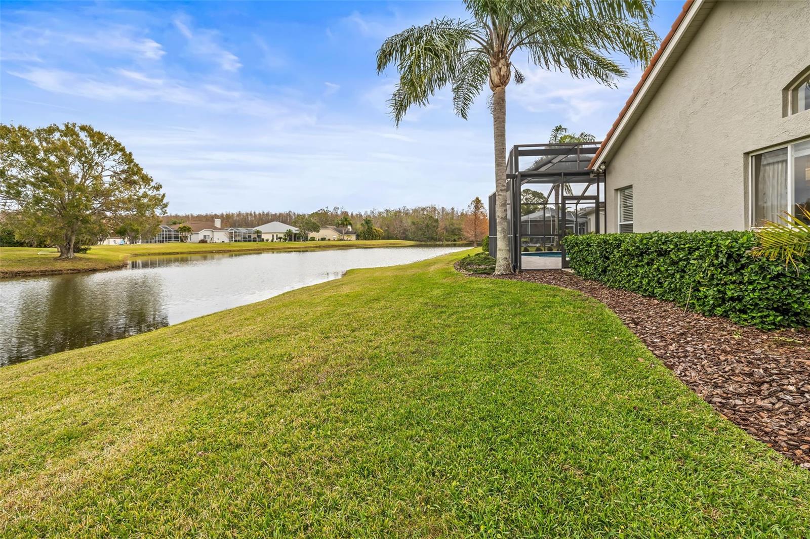 Backyard pond view