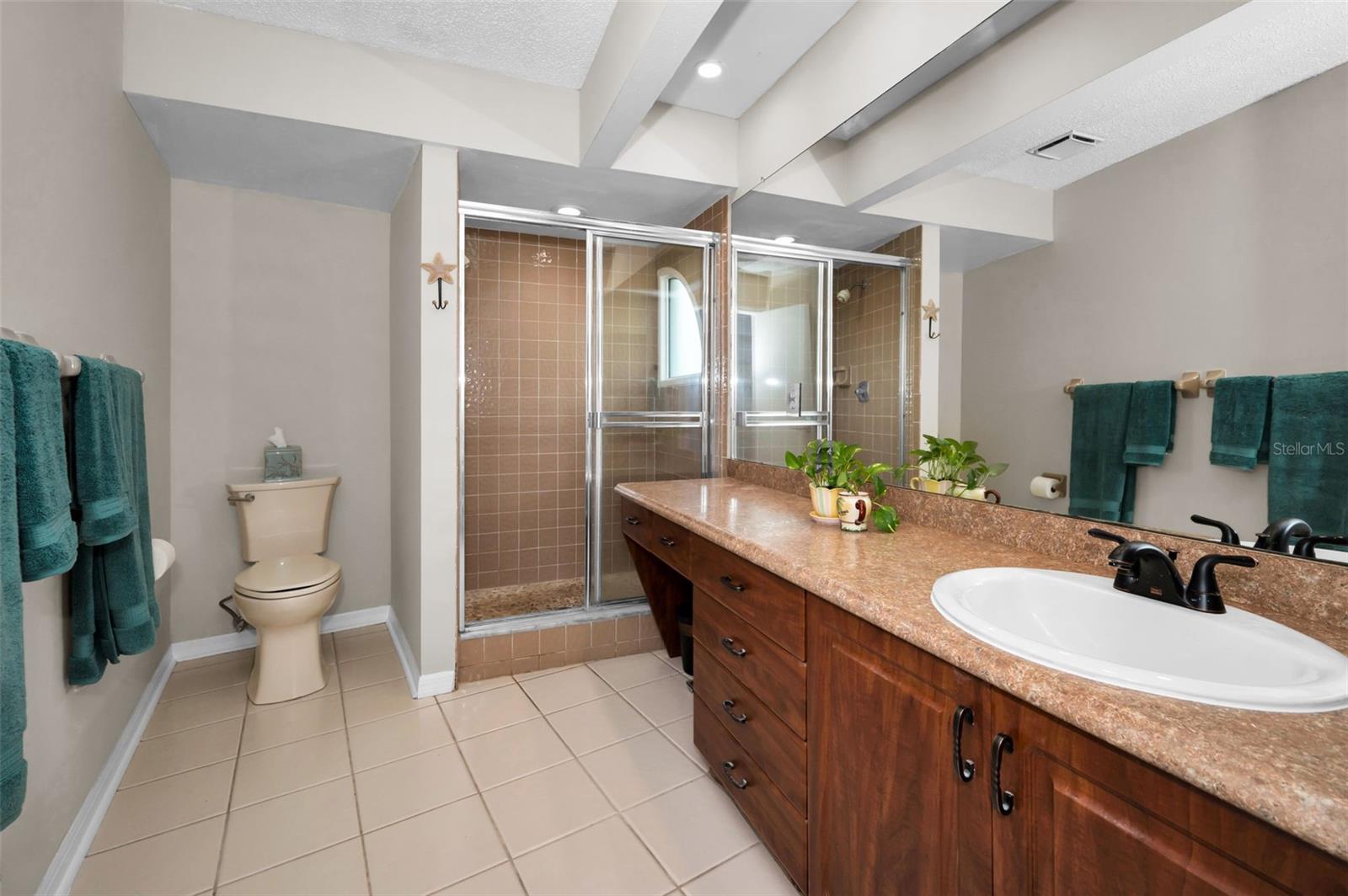 Primary Bathroom, new toilet