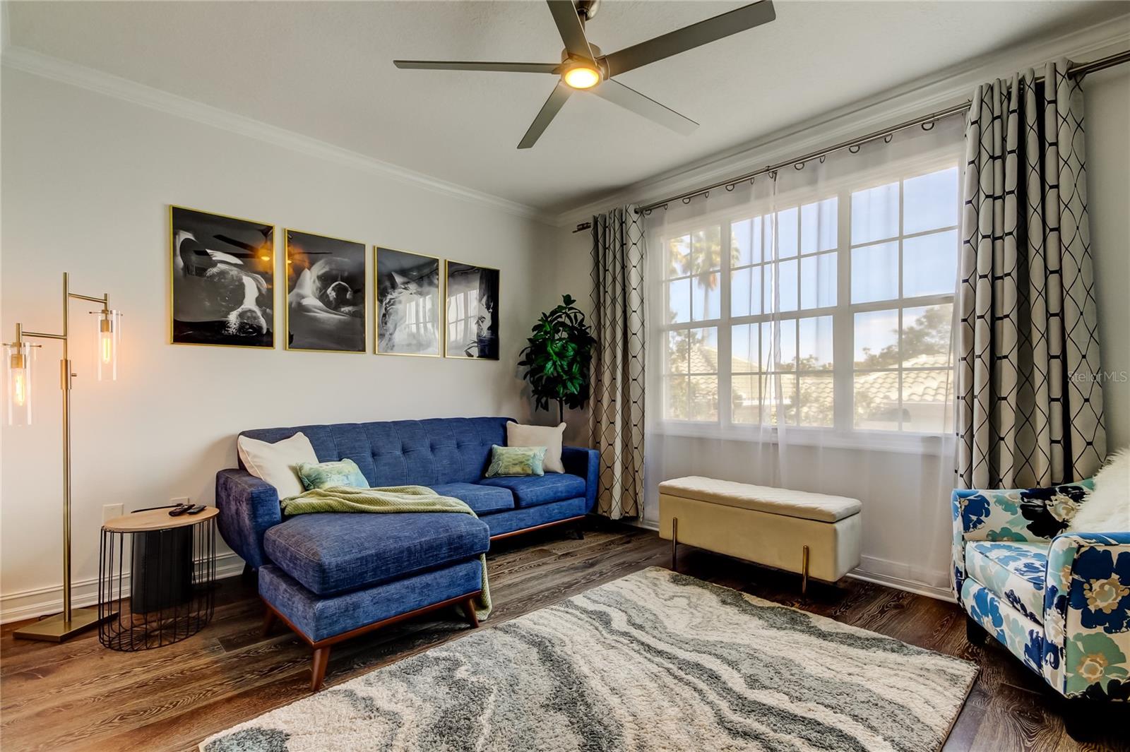 10. Living Room (11.10' x 14.2') is Open to the Kitchen, Loads of Natural Light from East Facing Windows, Modern Ceiling Fan Ties it all Together!