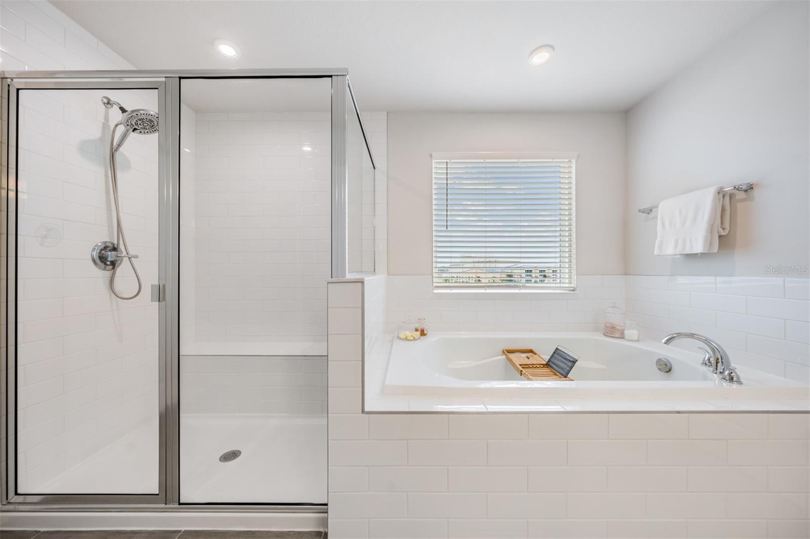 Glass Shower and Bathtub