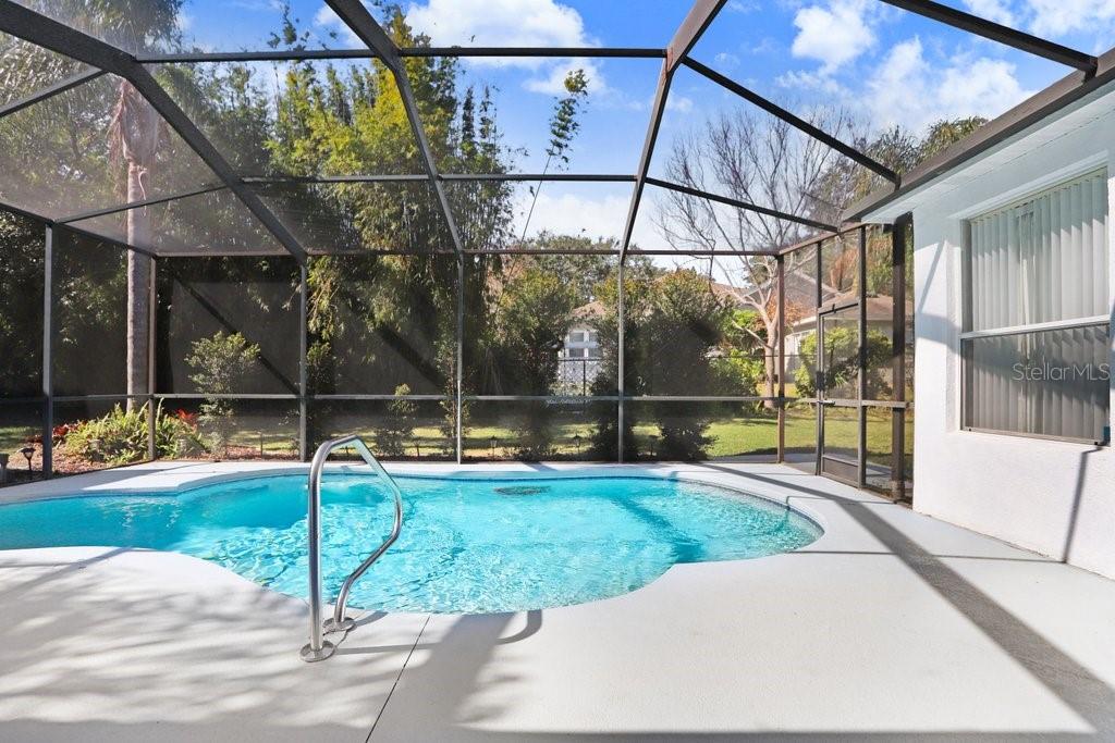 Pool with pebble tech and if and if you love the gators blue and orange tiles on the steps