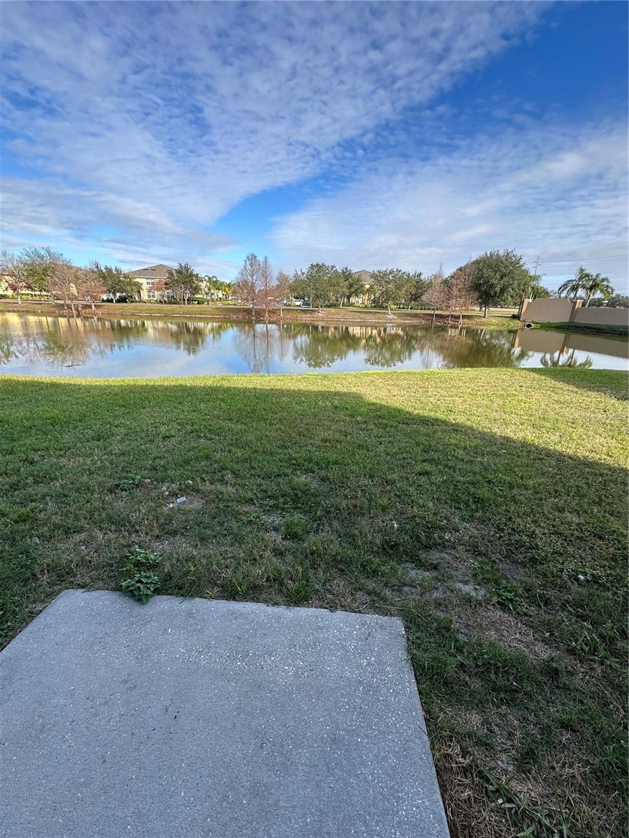 Backyard View From Sliding Glass Doors in Kitchen