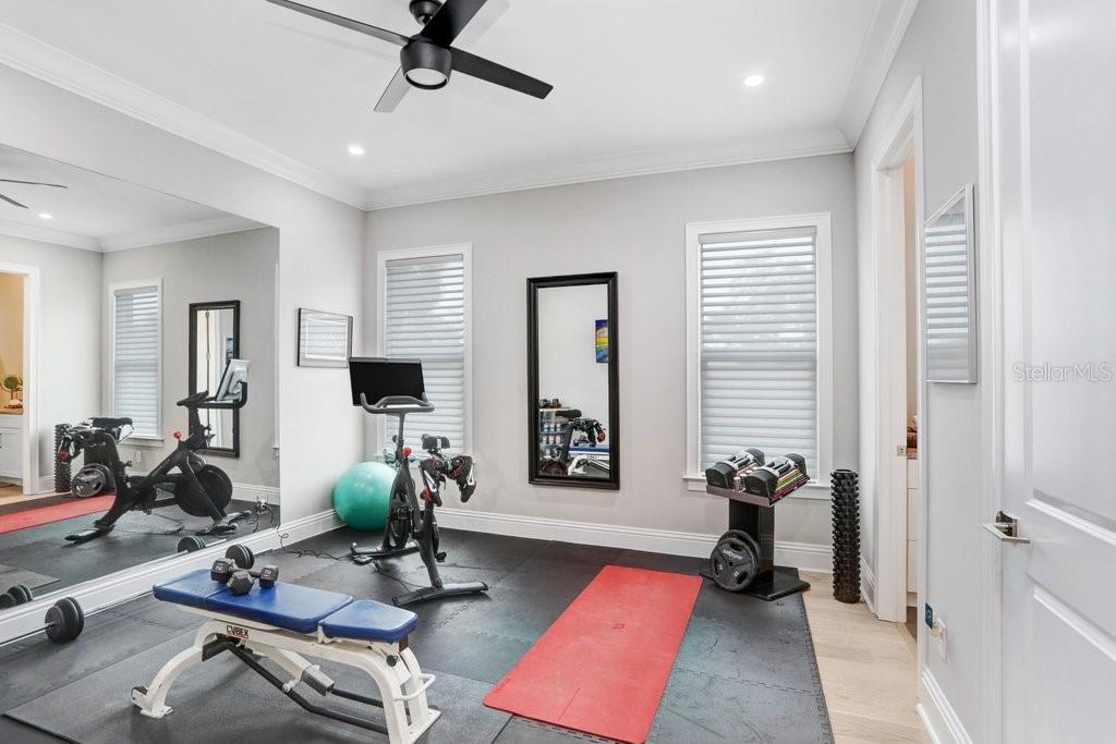 Bedroom 2/Exercise Room