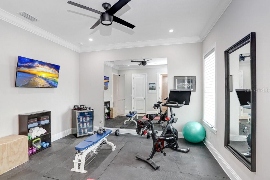 Bedroom 2/Exercise Room