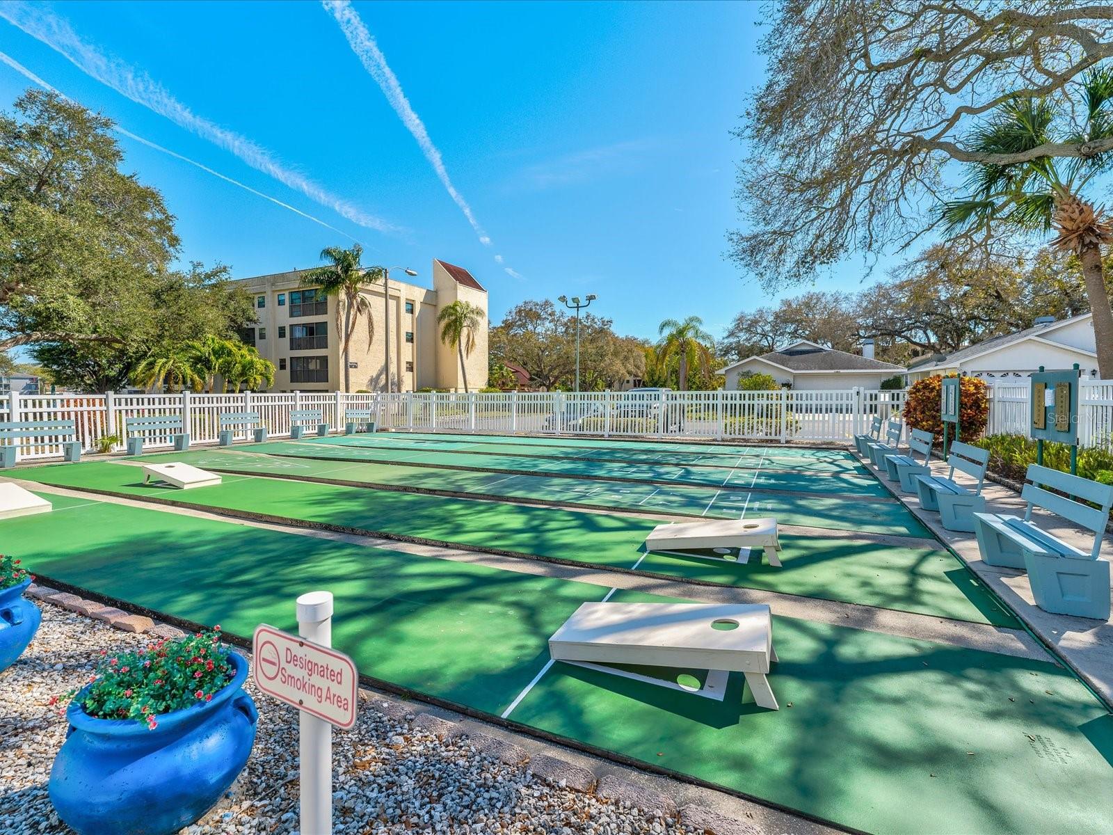 Cornhole/Shuffleboard