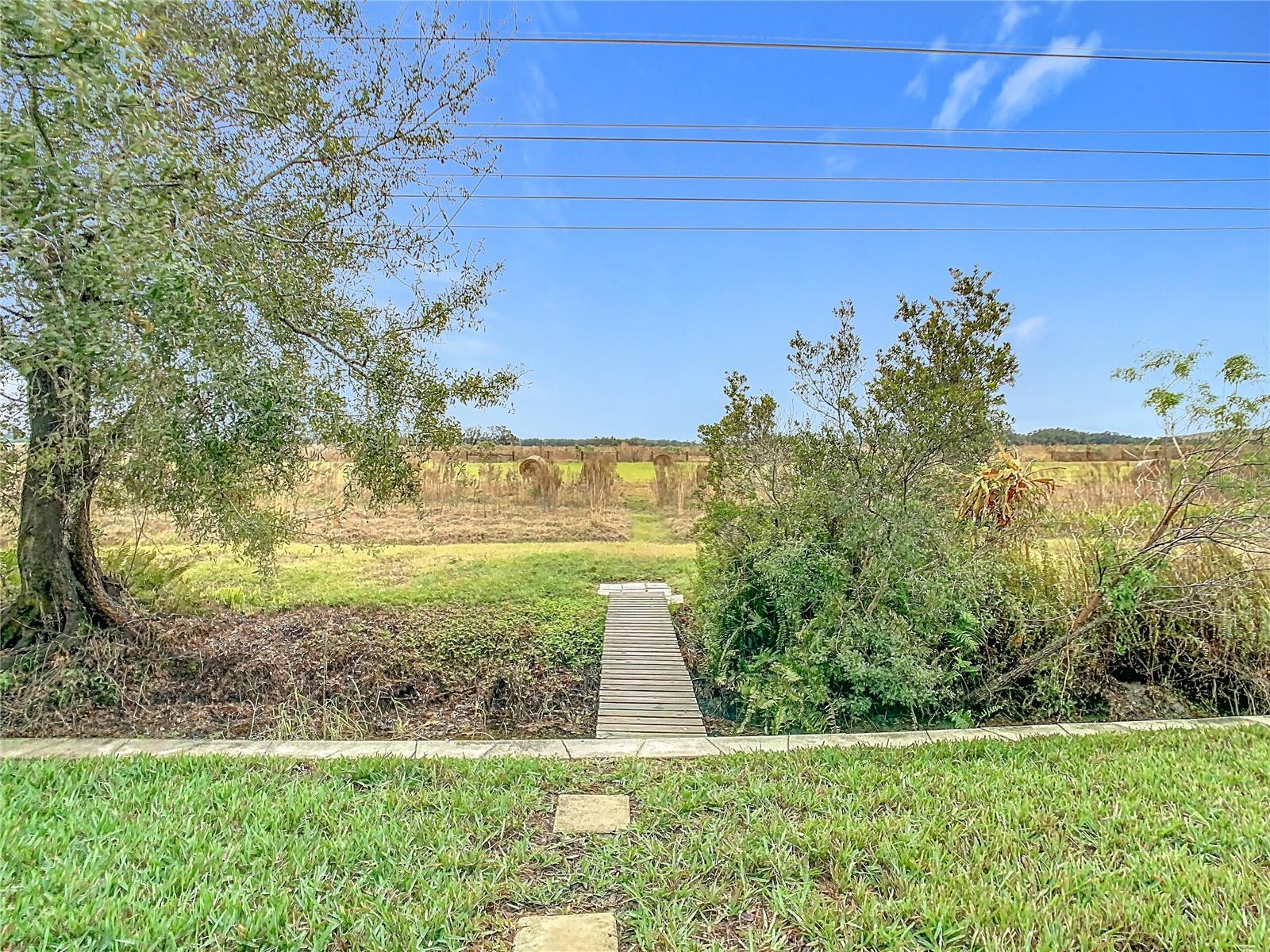 Backyard with Bridge to Conservation Area