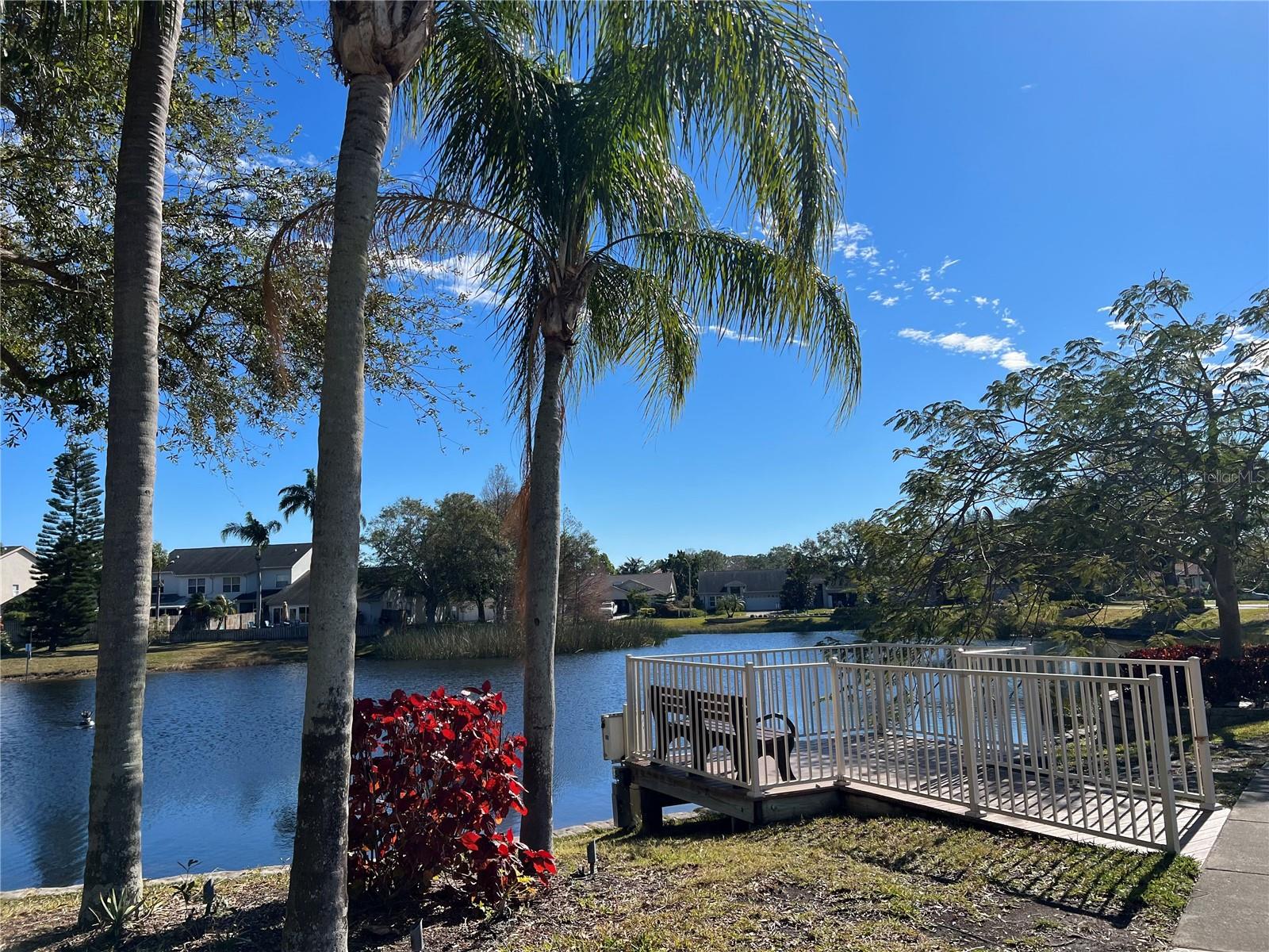 pond area near clubhouse