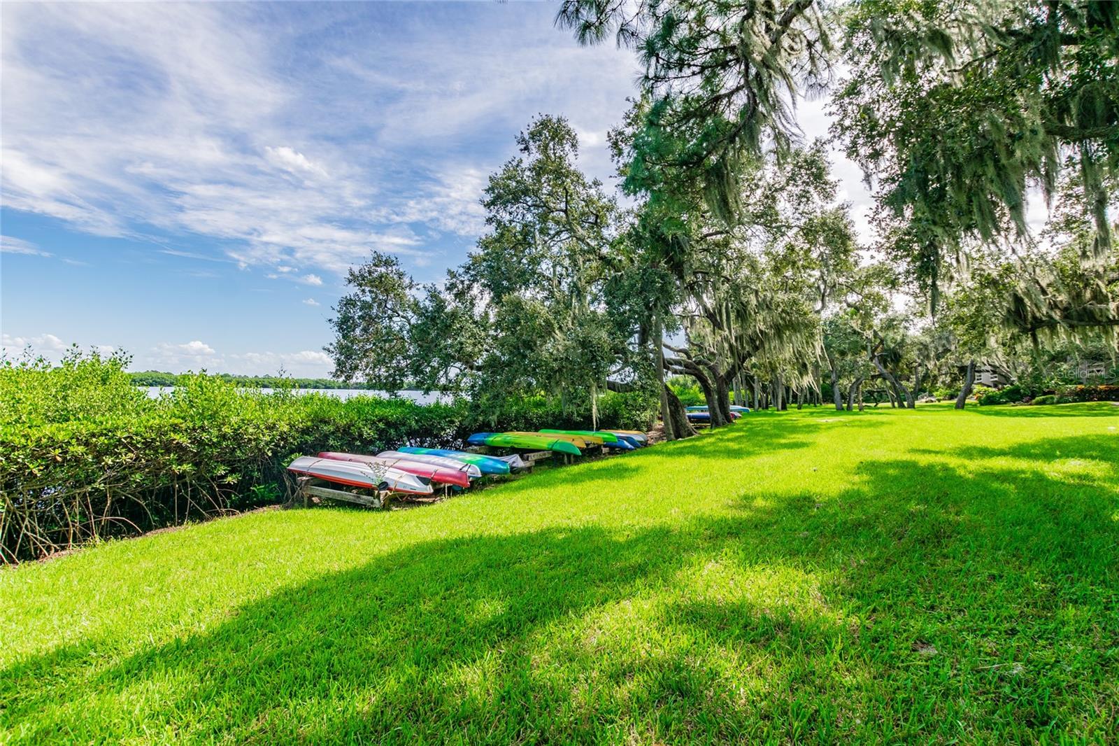 Kayak Storage!