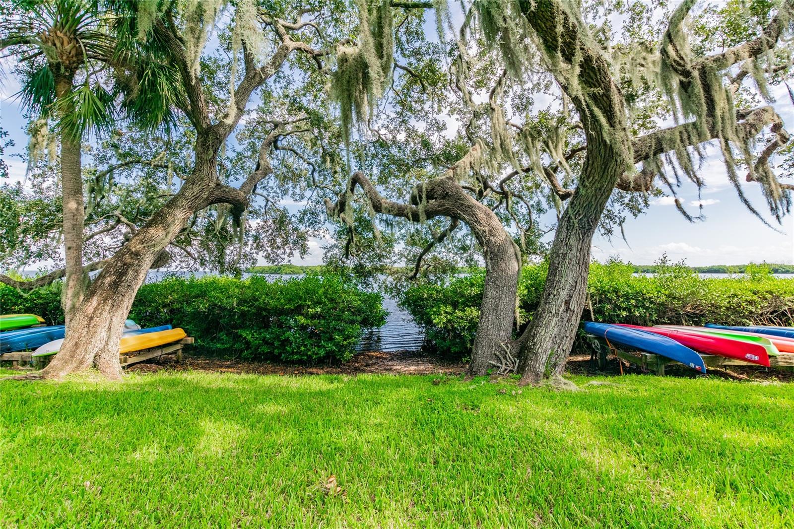 Kayak Launch!