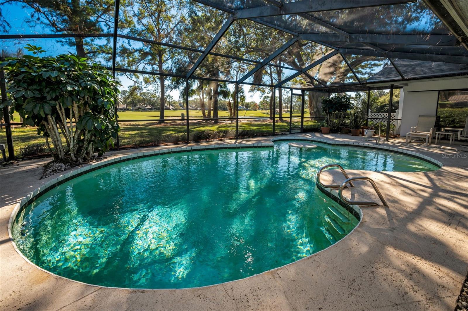 Screen Enclosed Pool