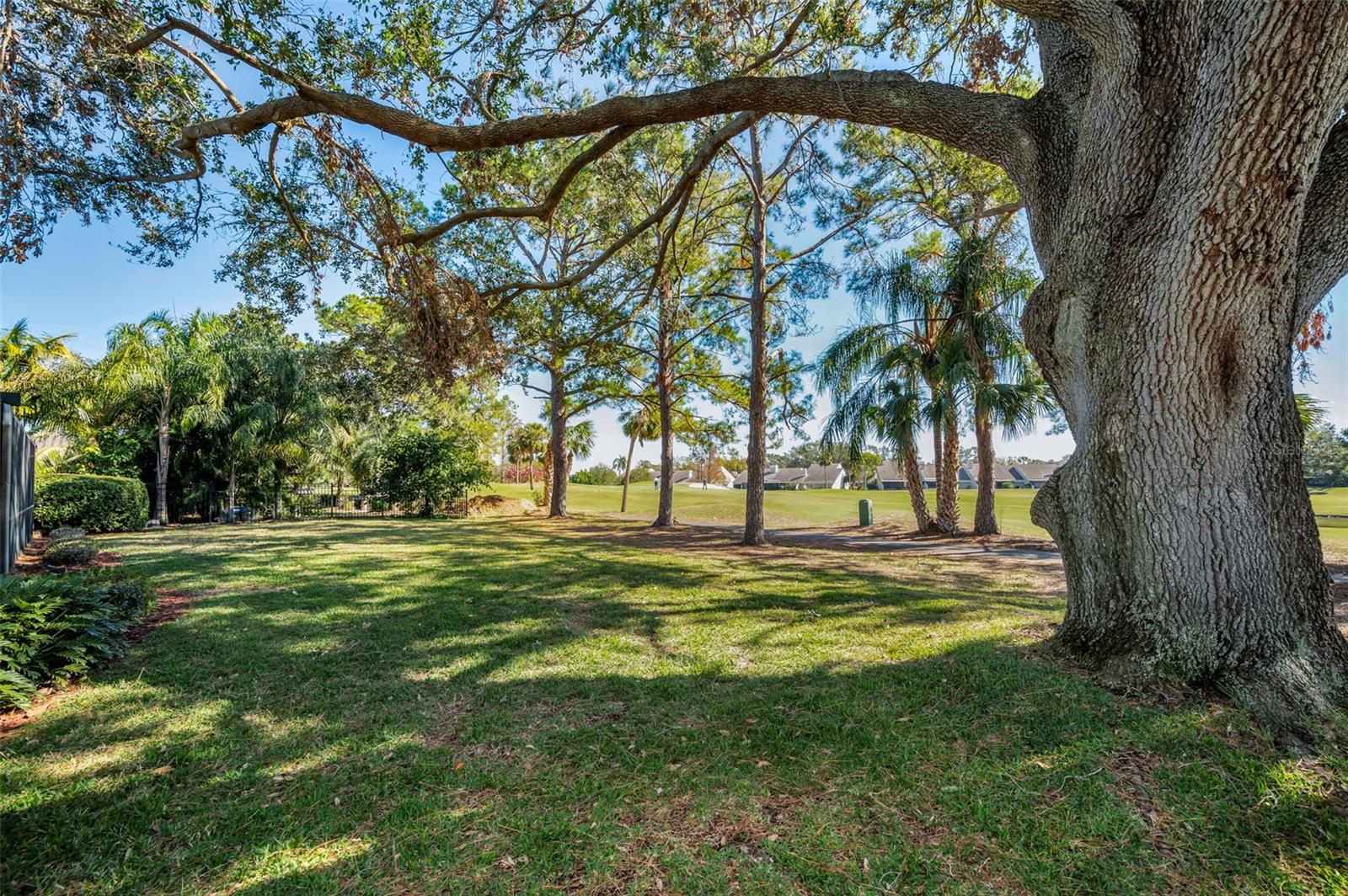 Backyard on the Golf Course