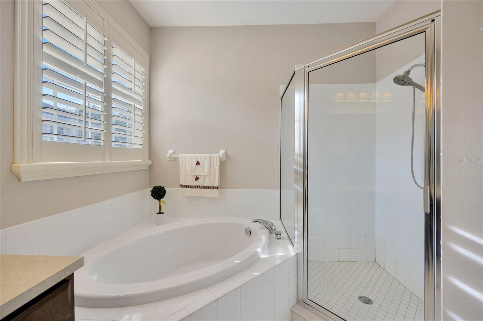 Soaking Tub & Shower