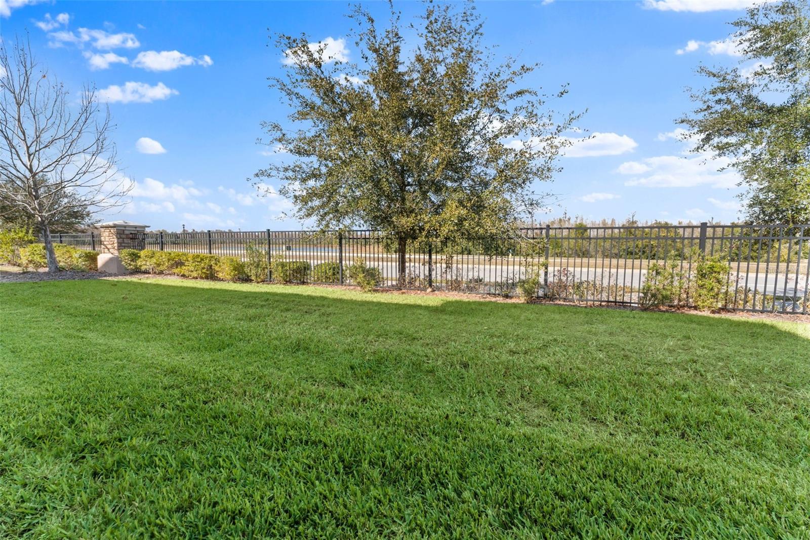 Backyard Views From Your Lanai