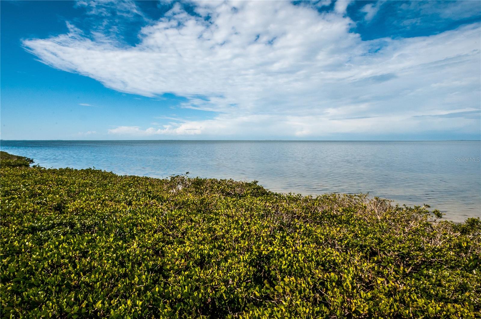 Mangroves provide privacy along the nature trail