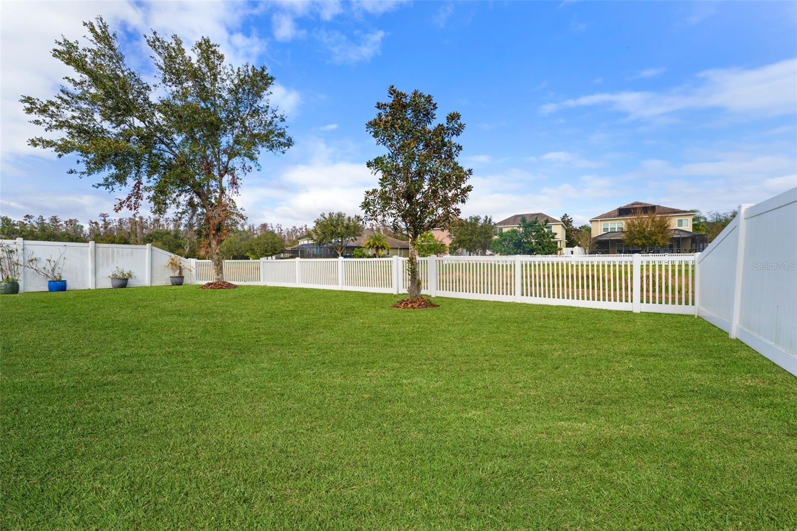 Very Large Home With Lots of Green Space