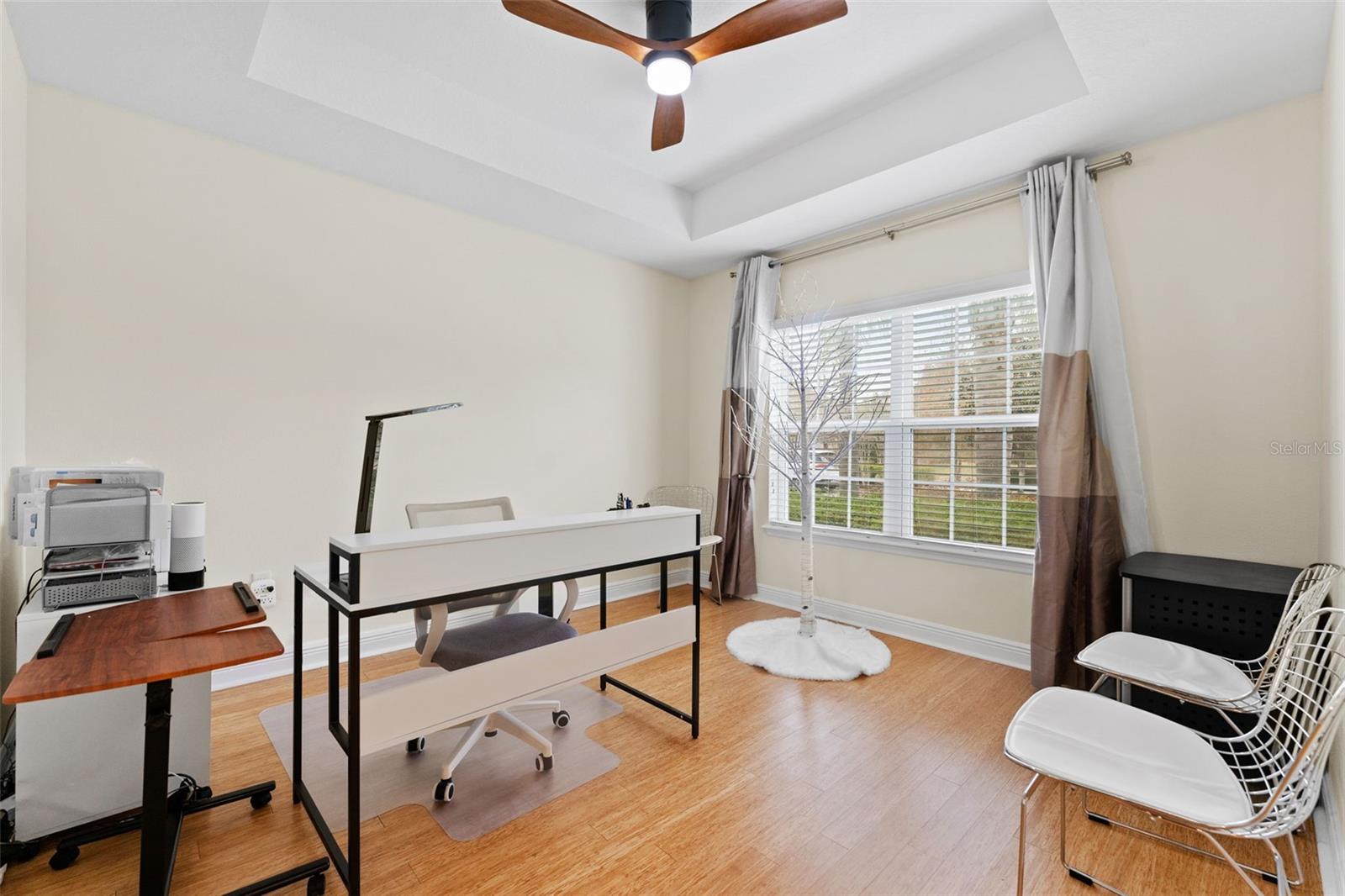 Dedicated Office Space With Great Natural Lighting & Fancy Tray Ceiling