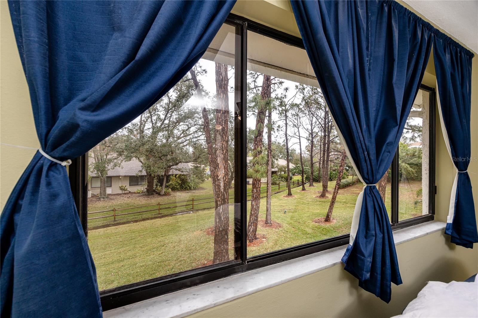 Beautiful view of pine trees from primary bedroom