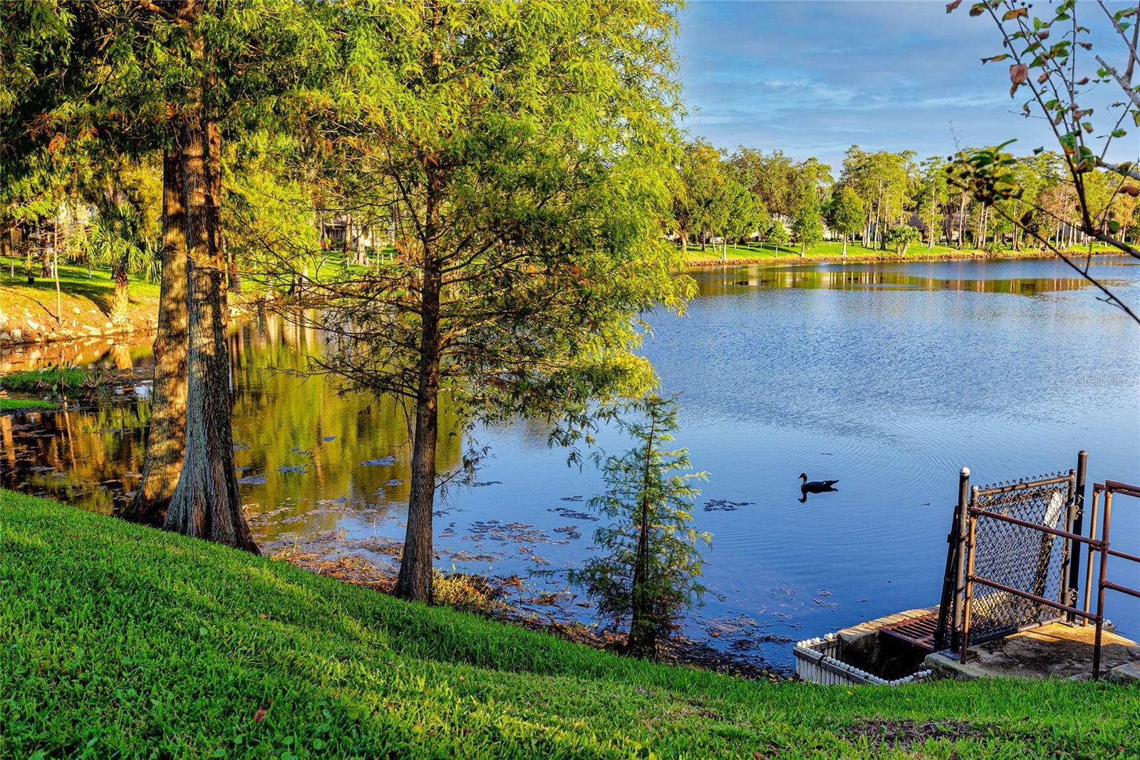 Lake by the clubhouse