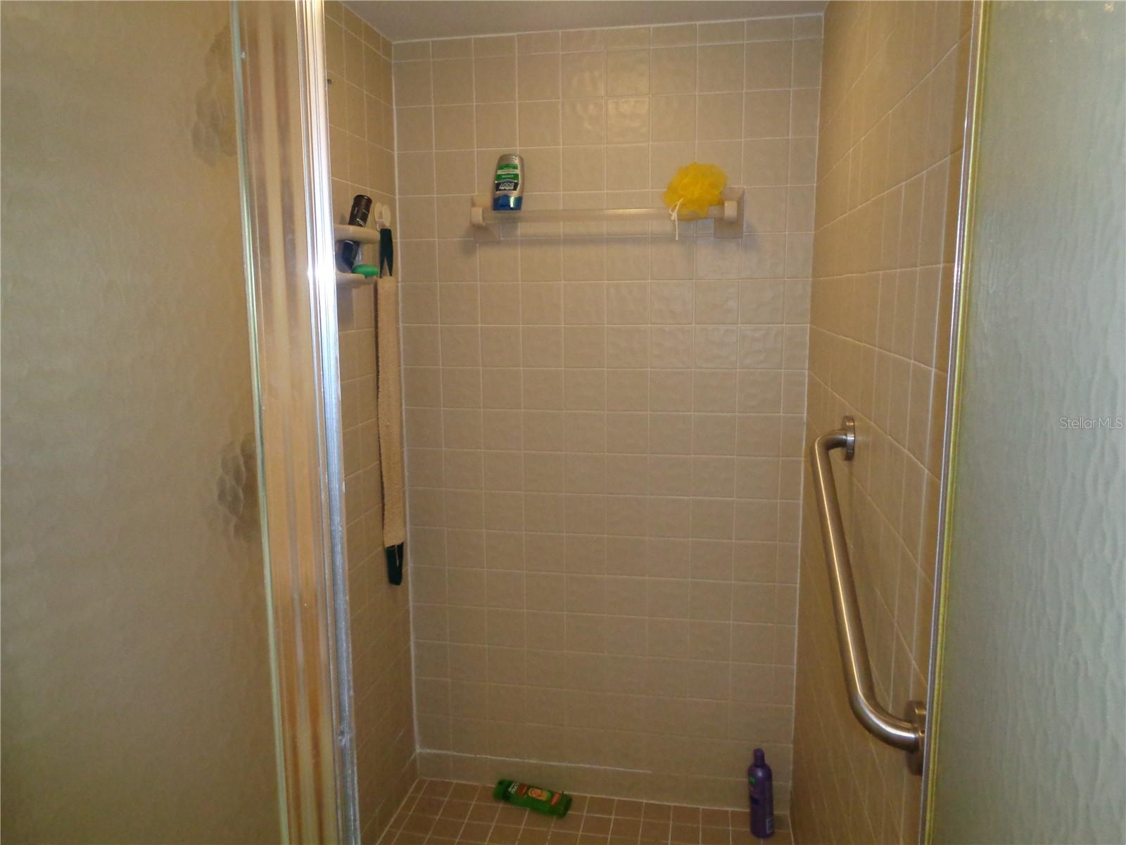 Primary Shower