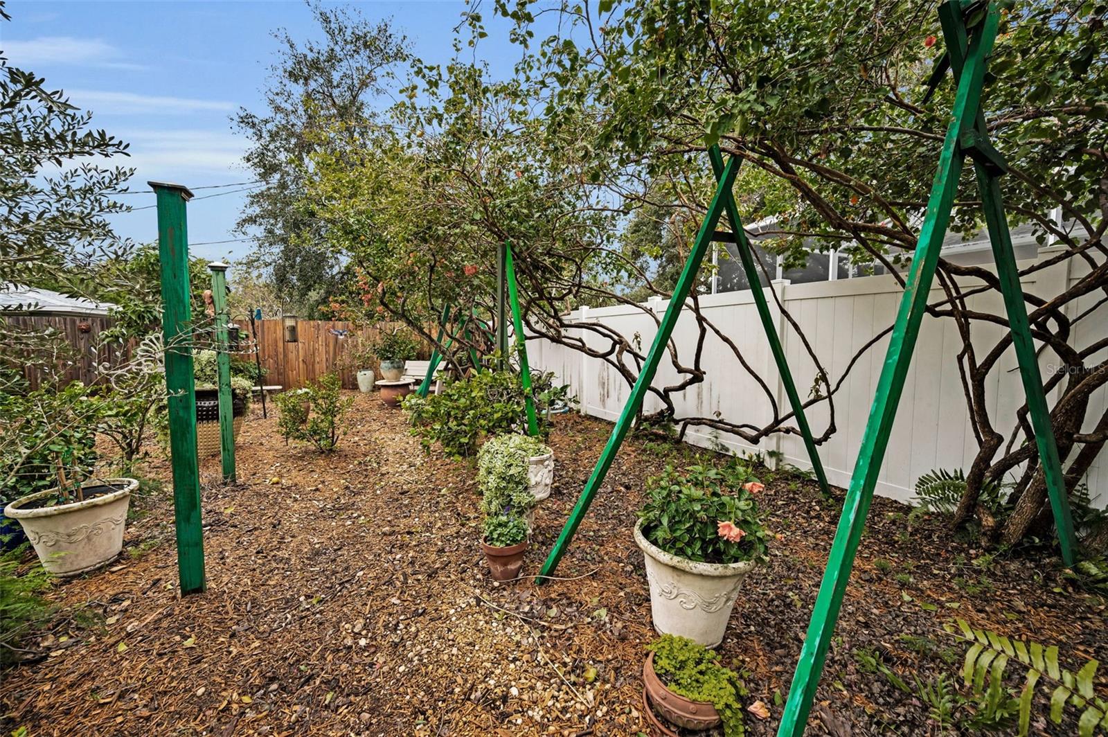 Patio/Backyard