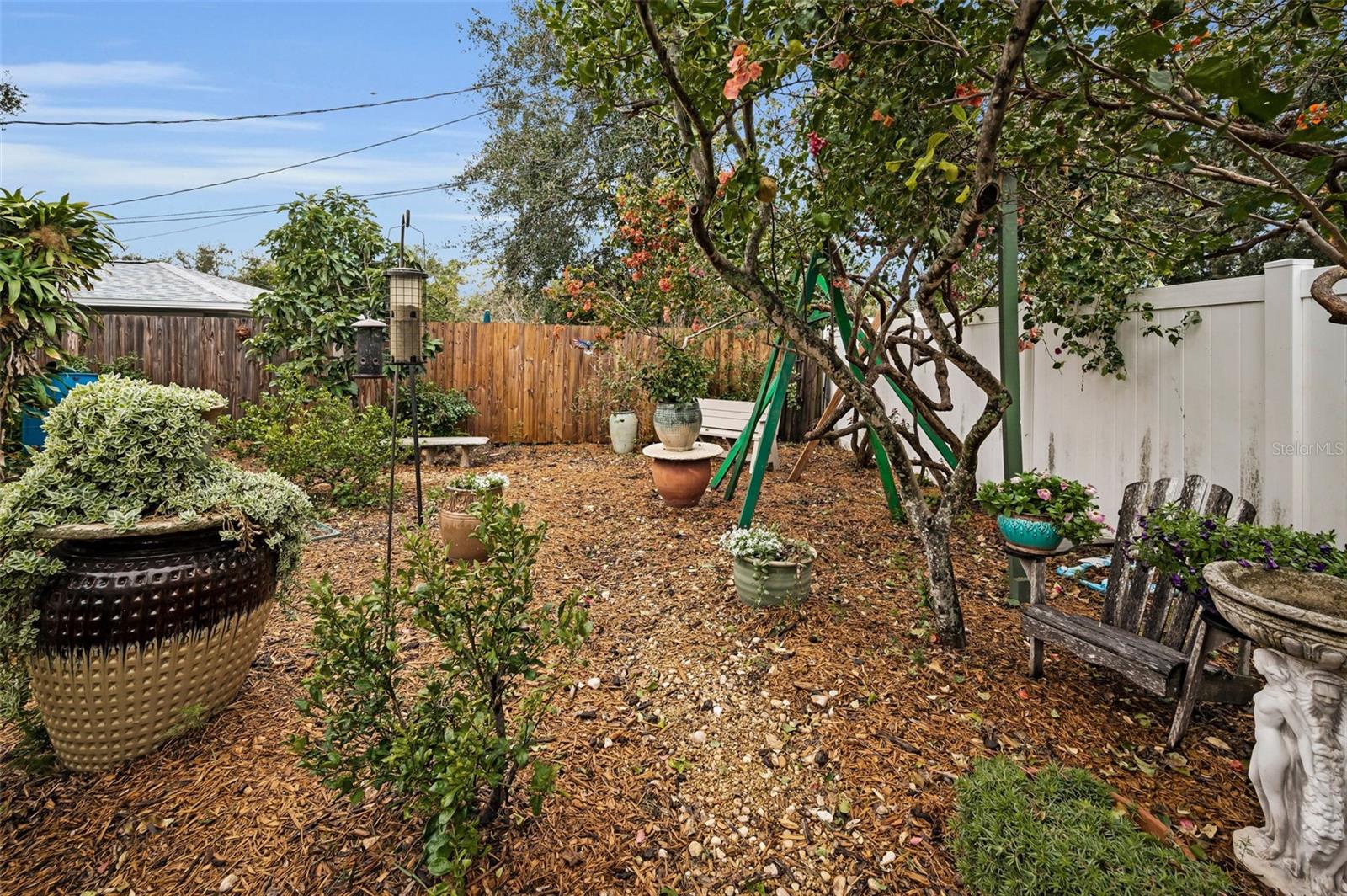 Patio/Backyard