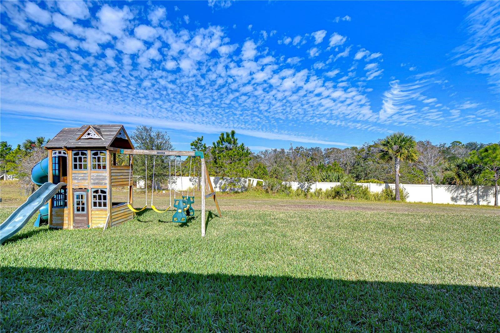 Large, cage less backyard space!