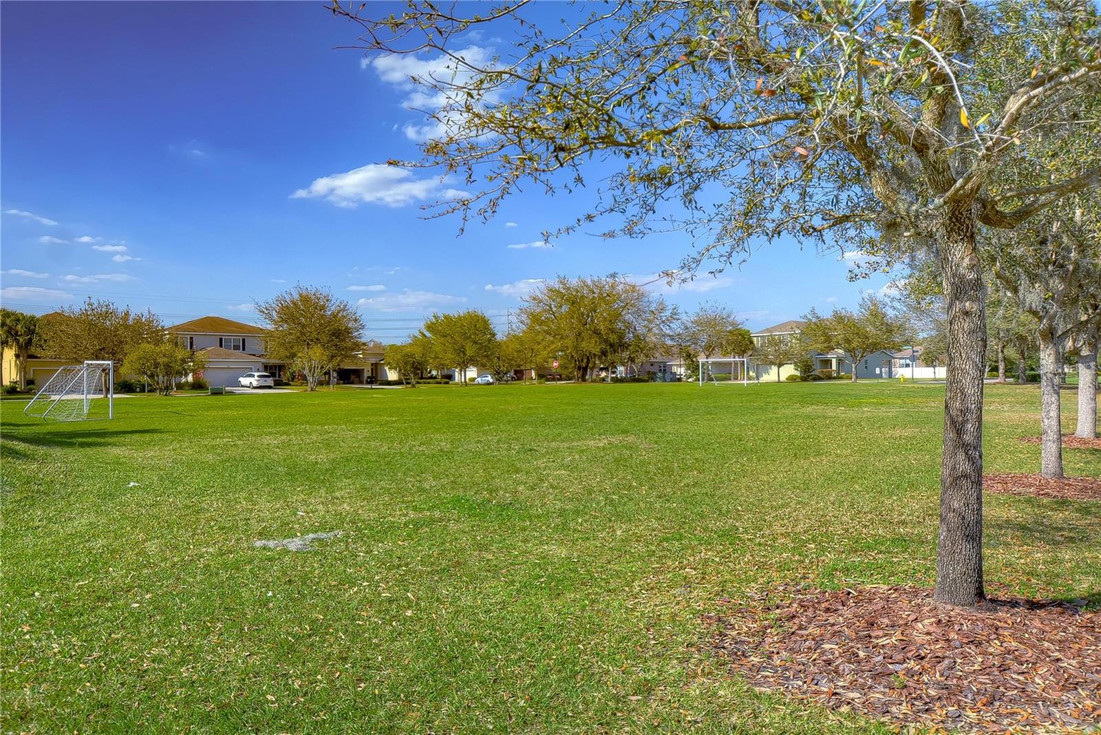 Soccer fields!