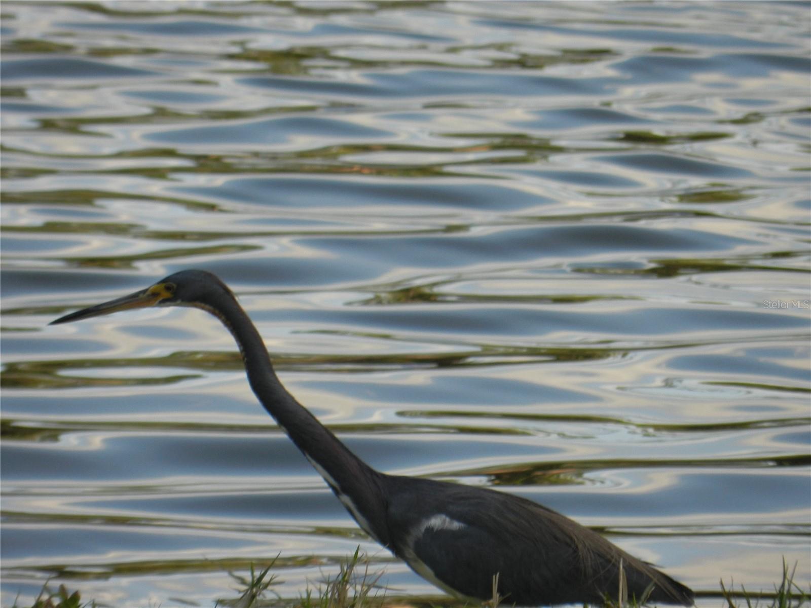 Lake Seminole Park