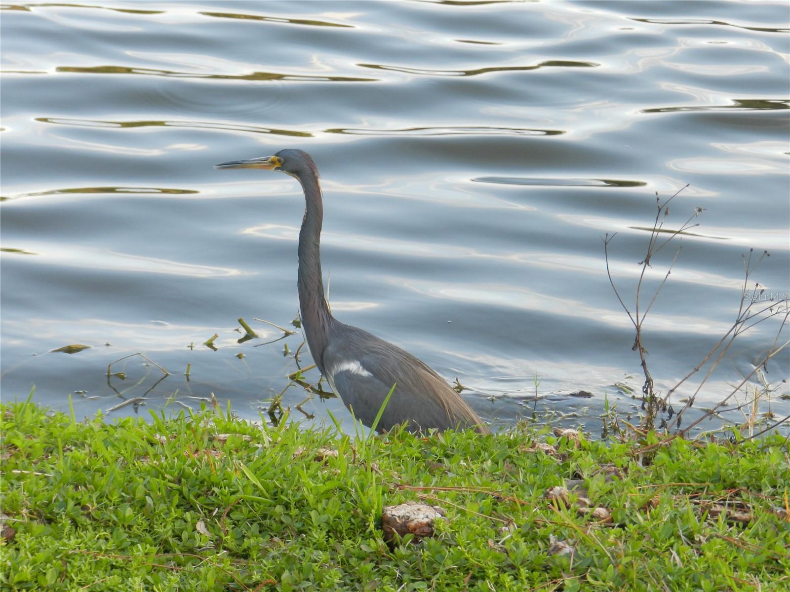 Lake Seminole Park