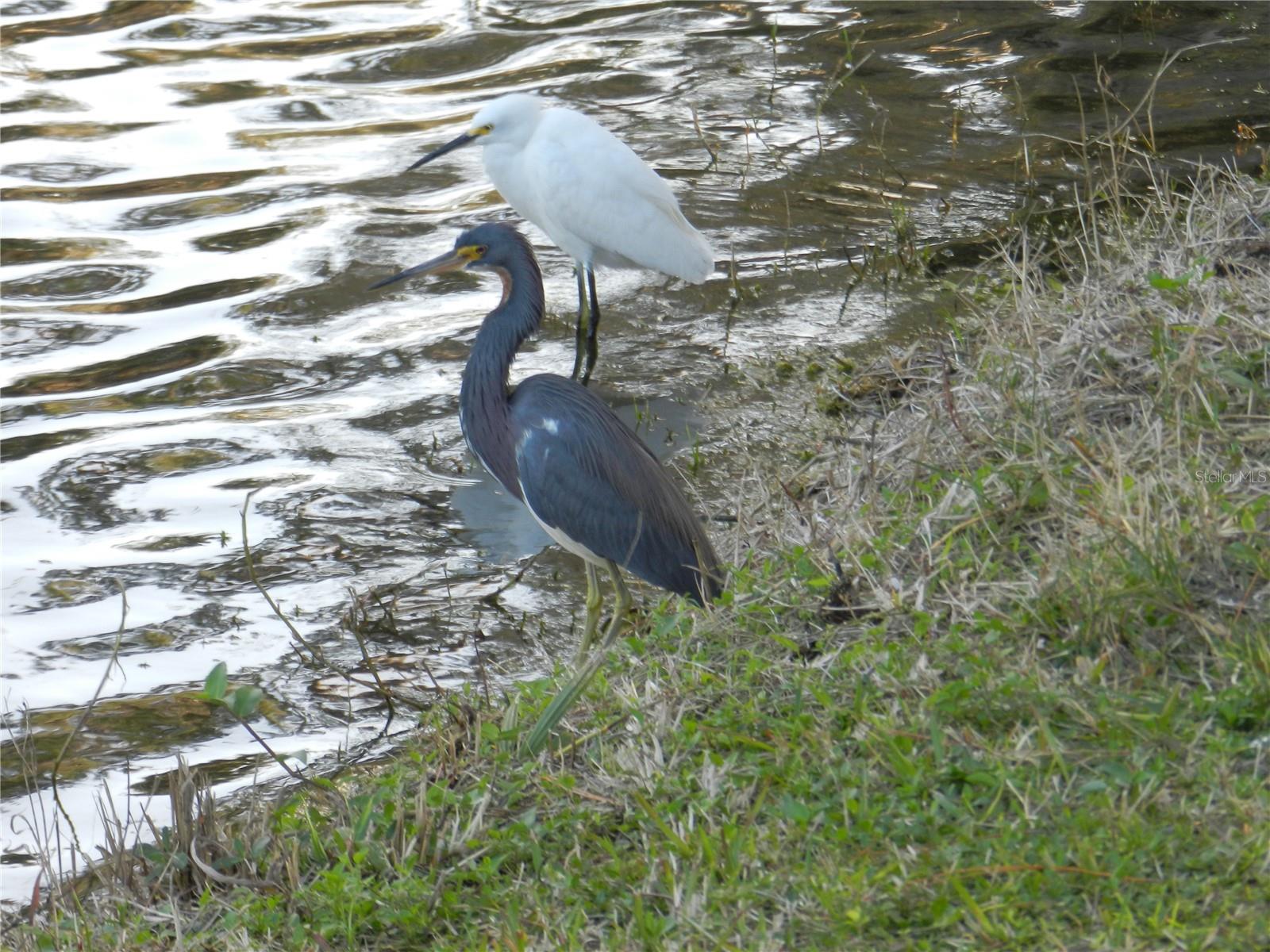 Lake Seminole Park