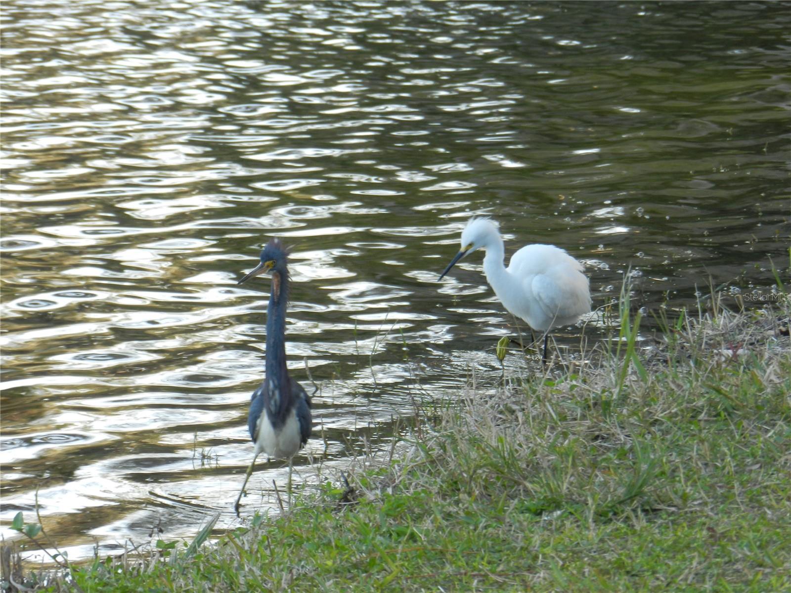 Lake Seminole Park