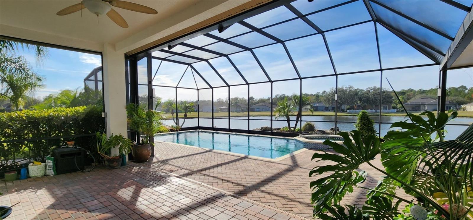 Lanai view of pool & pond 3