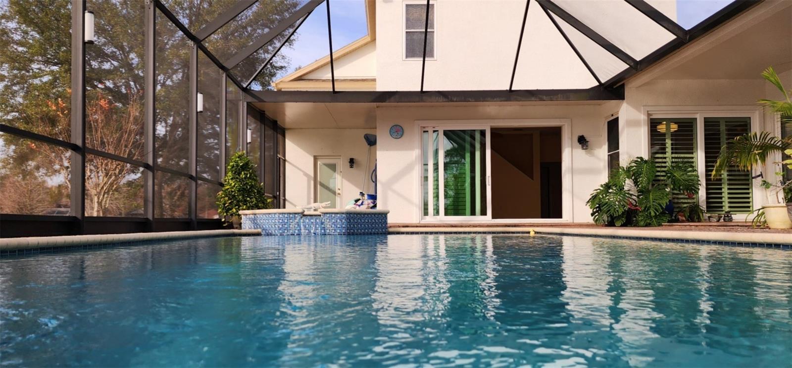 Lanai view of pool & pond 4