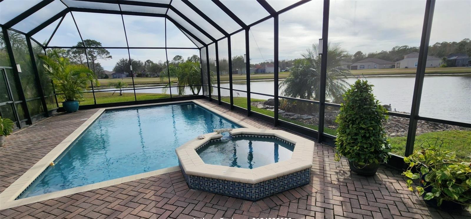 Lanai view of pool & pond 7