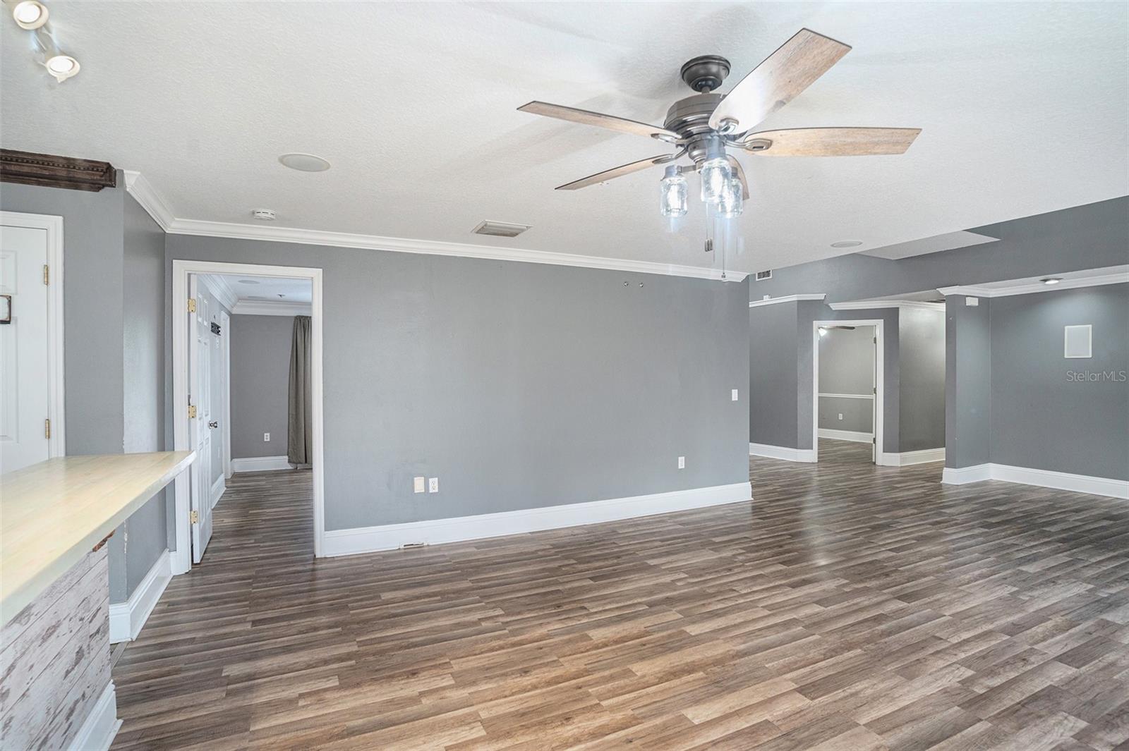 Living Room with entry to the Primary Bedroom in the background