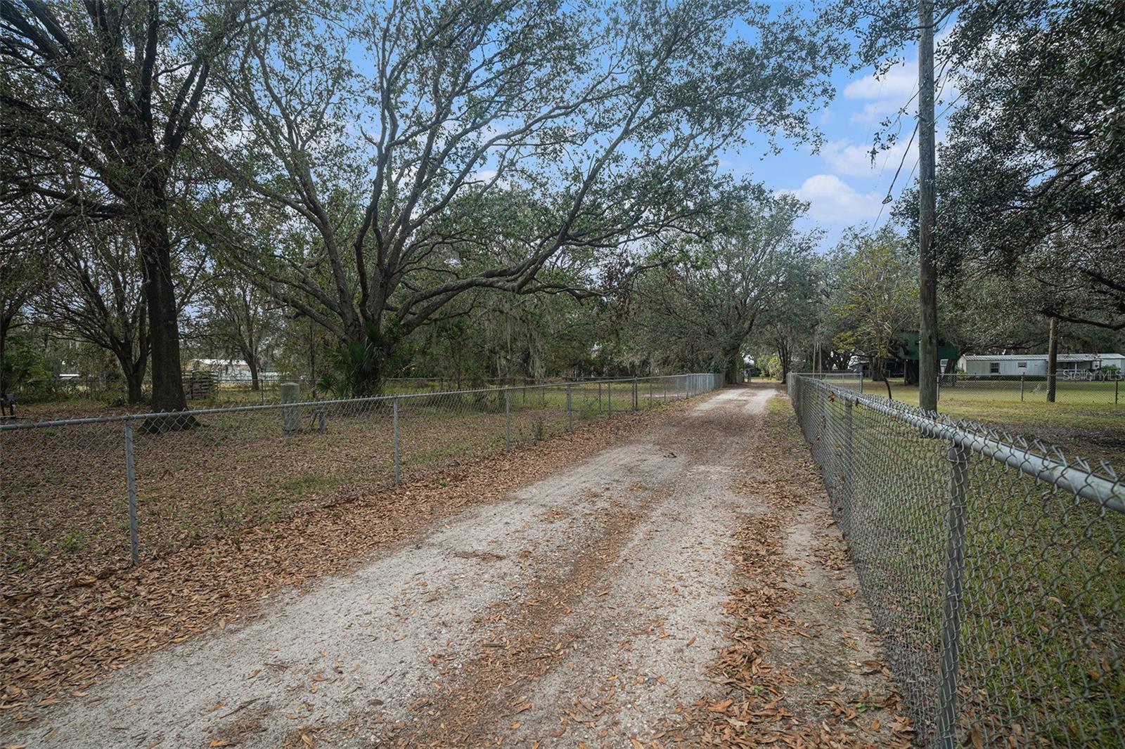 Long Driveway from the road