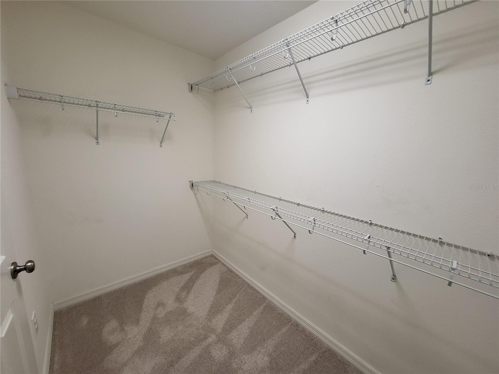 Spacious walk in with ample shelving/hanging bars