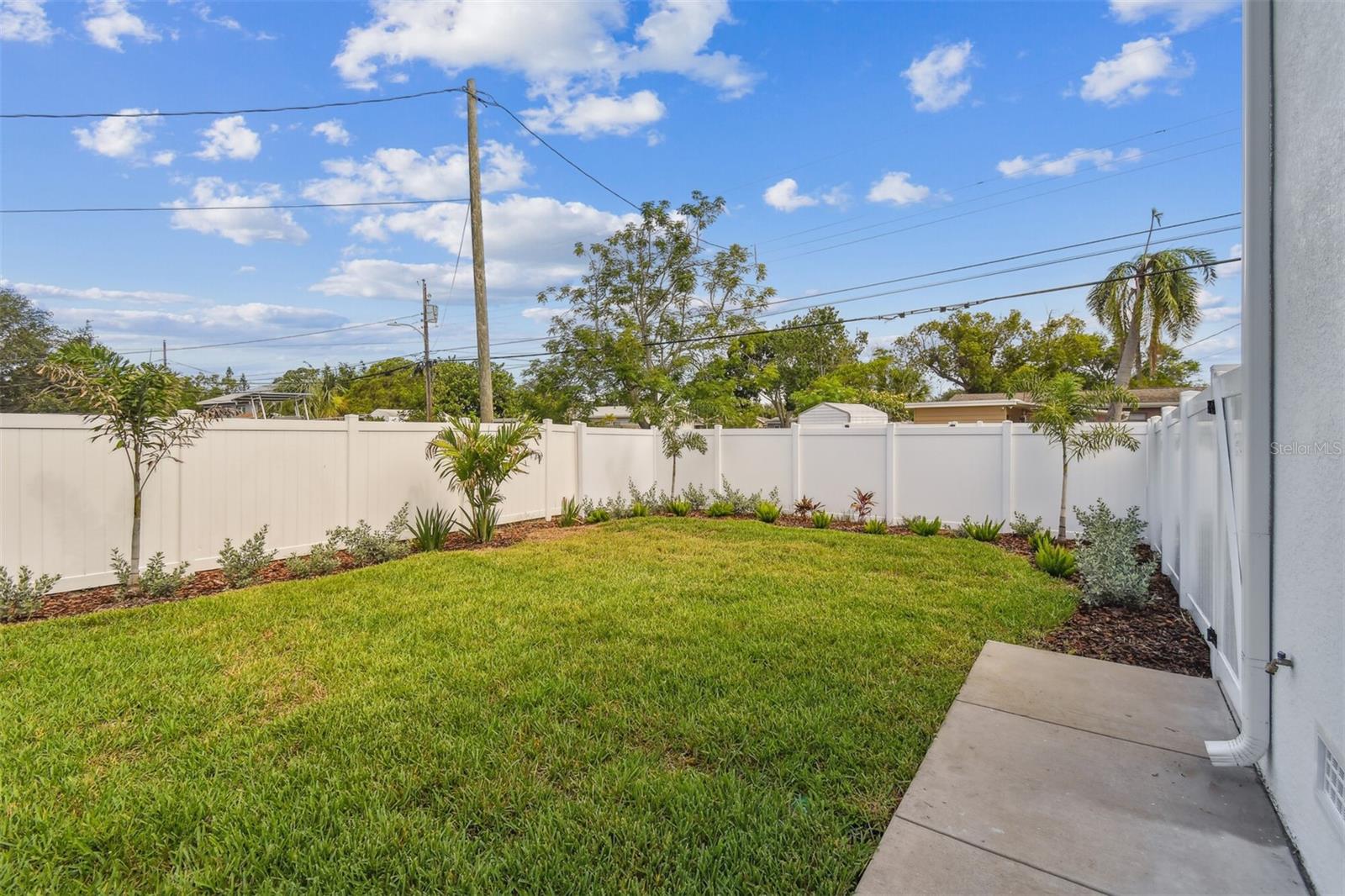 Backyard