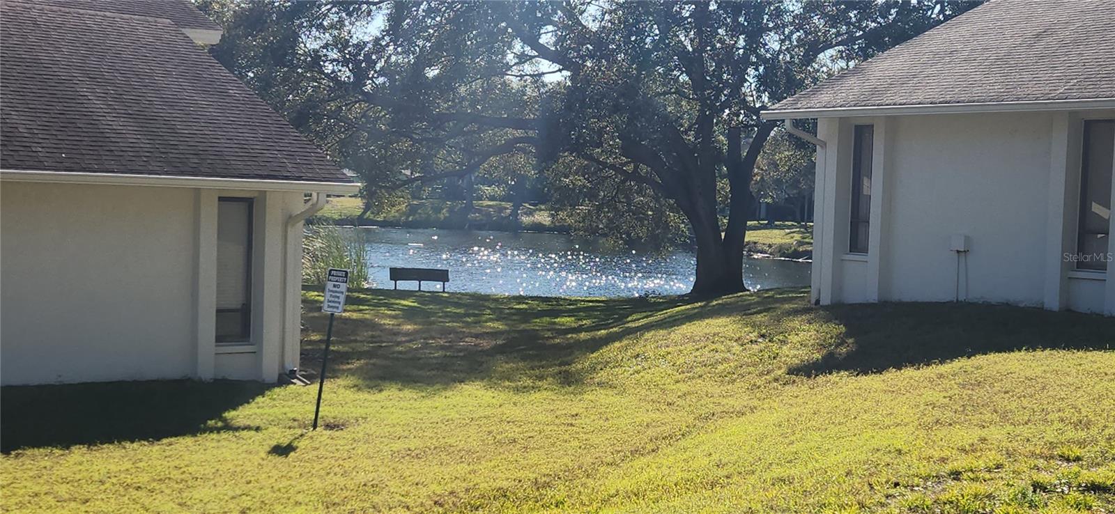 Pond View