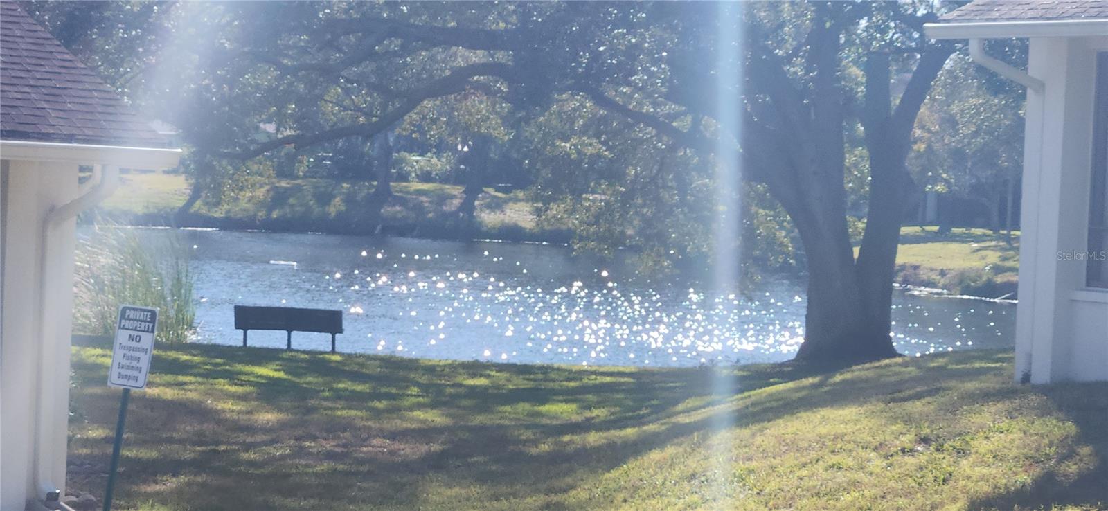 Imagine sitting by this pond in your backyard