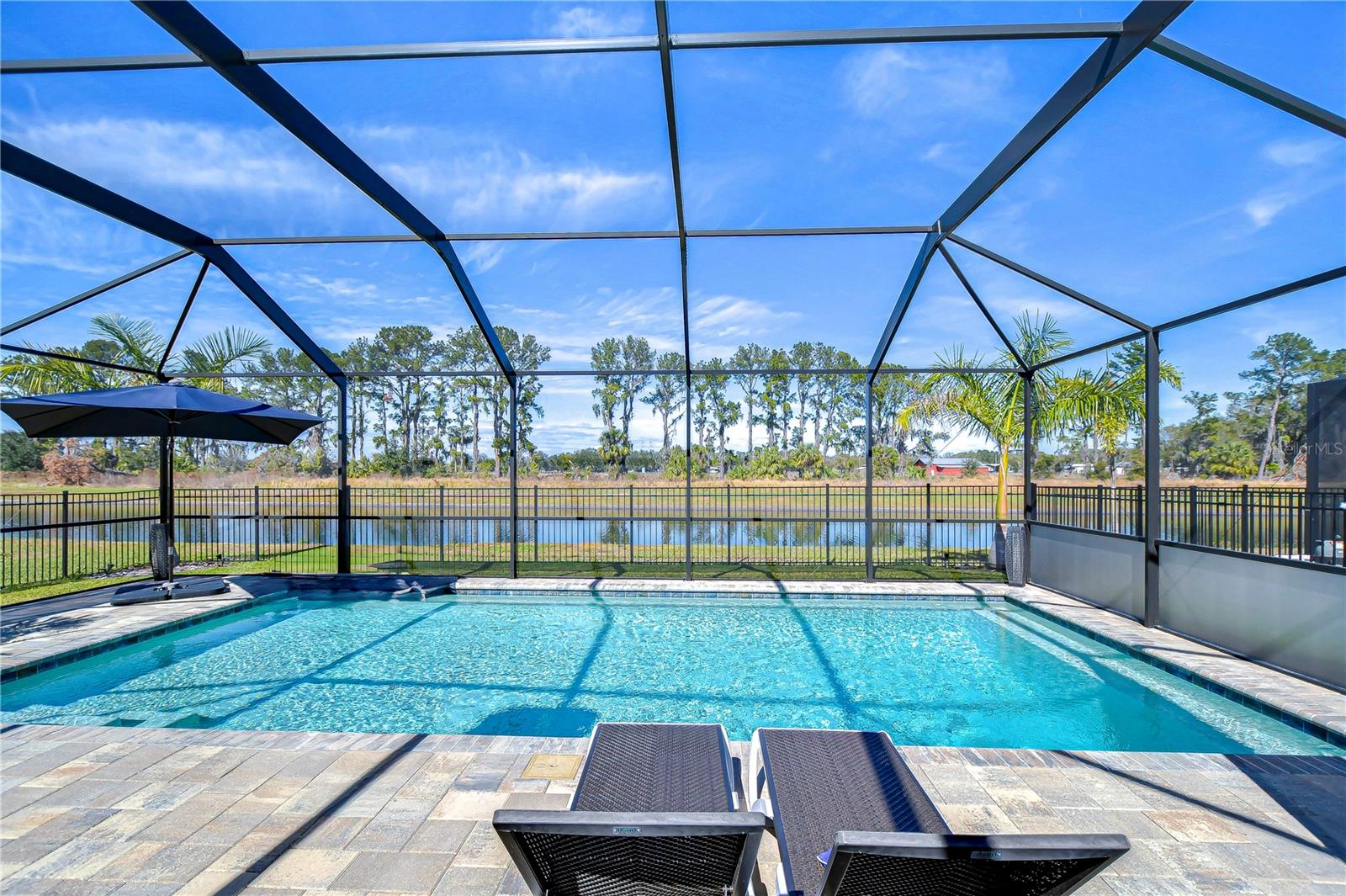 Stunning backyard space!