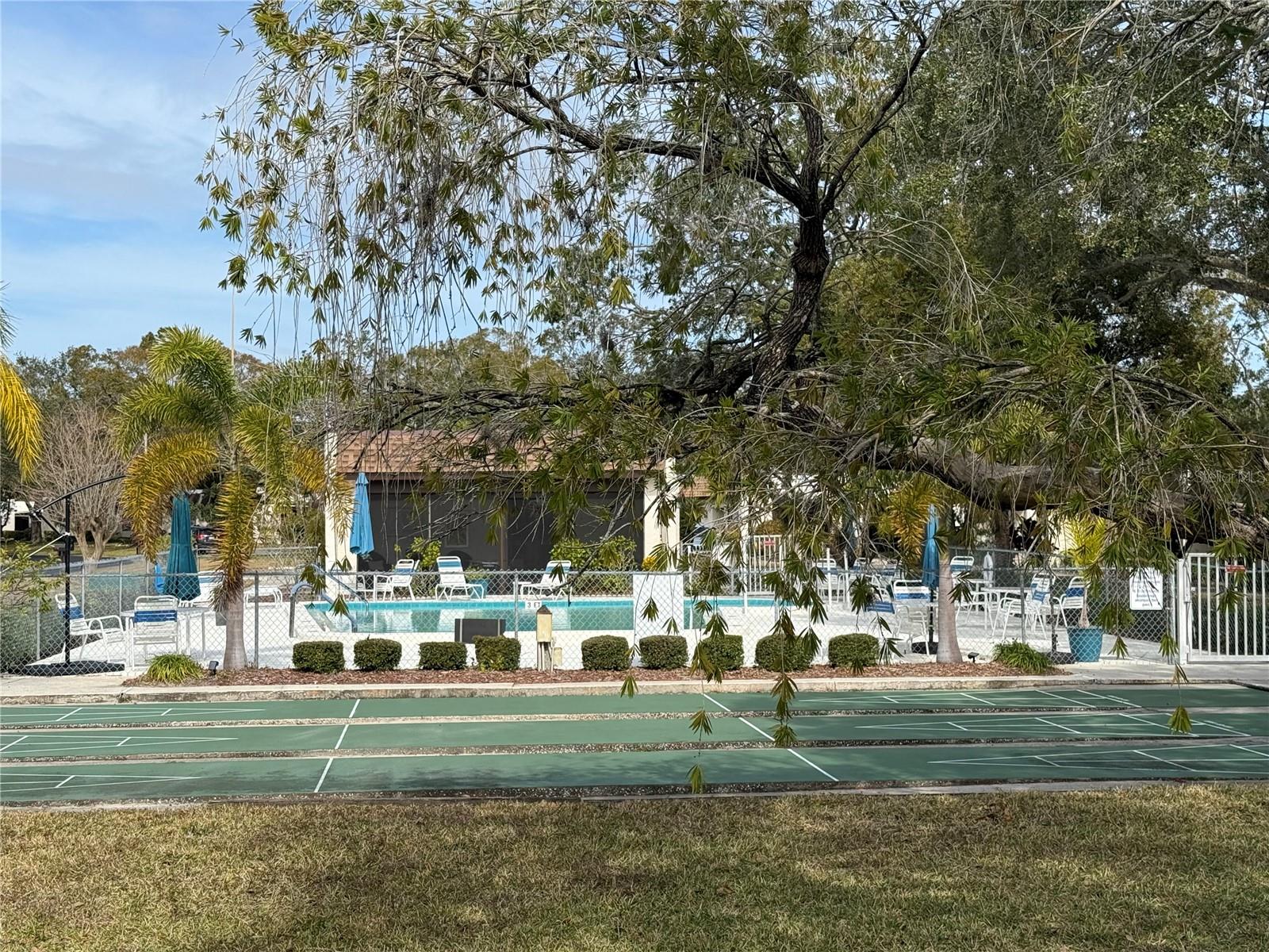 Florida Room, enclosed and looking over the common green space