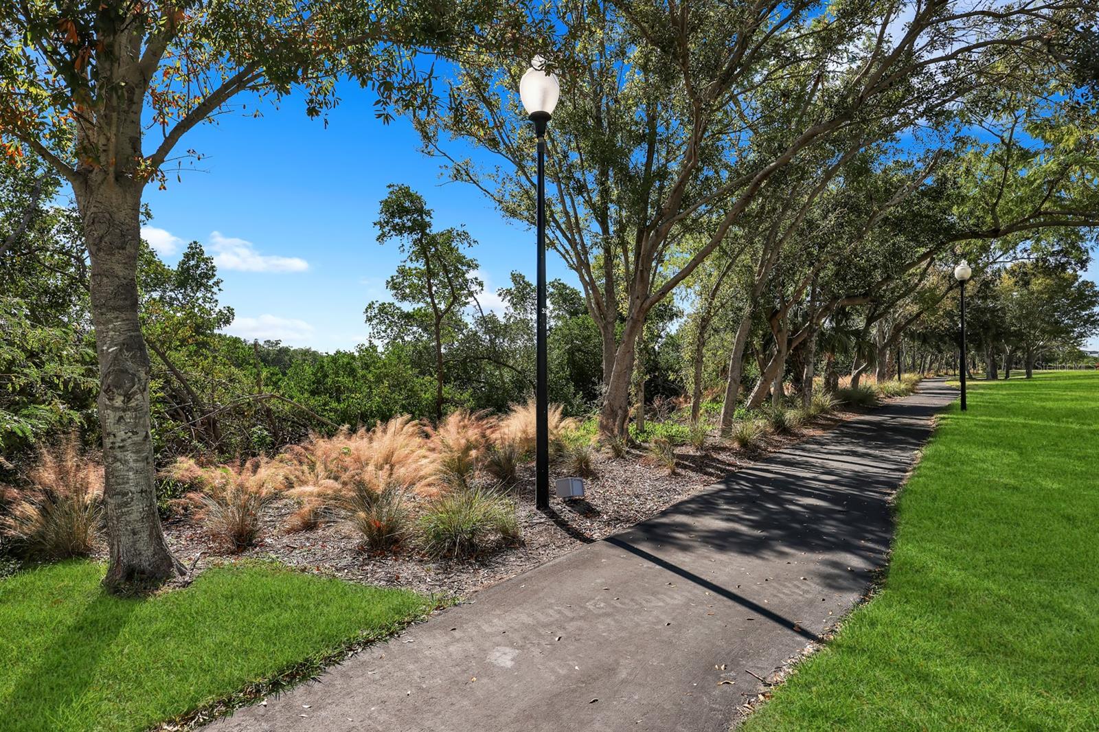 Walking trail