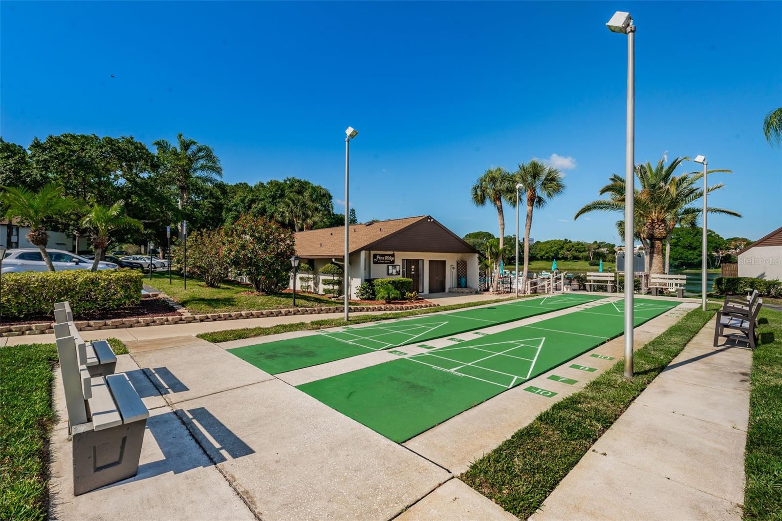 Shuffleboard Court