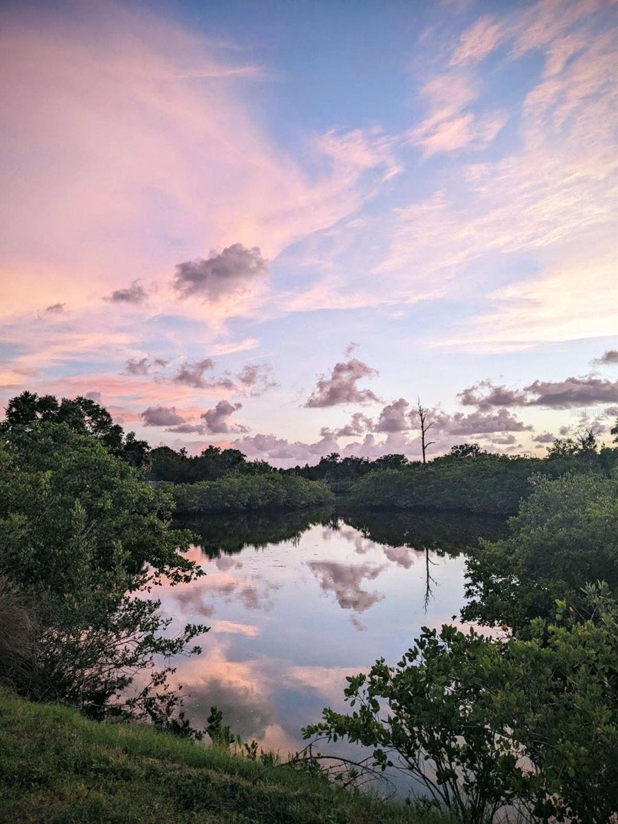 Seller's photography from scenic walking trail.