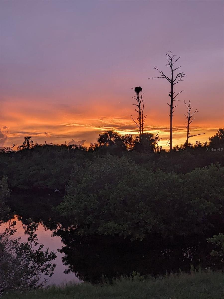 Seller's photography from scenic walking trail.