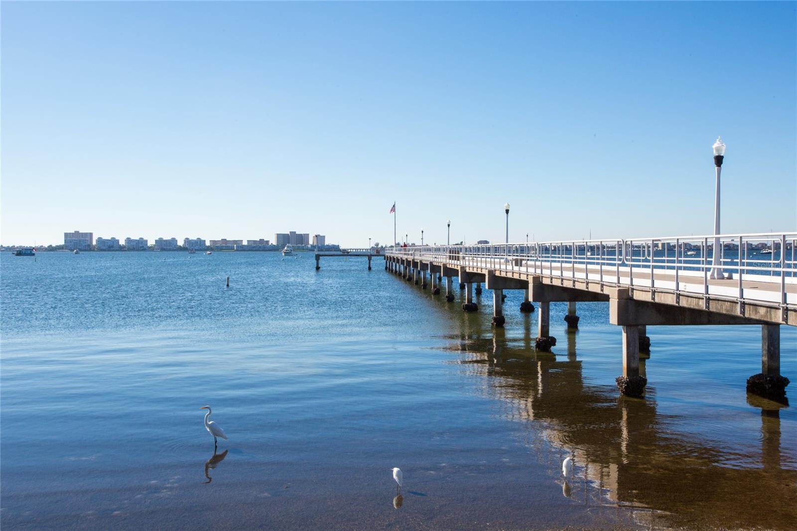 Gulfport is a quick bike or car ride away.