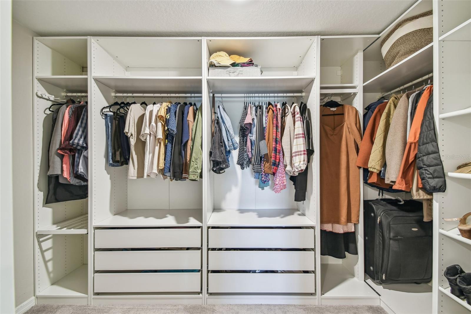 Walk-in Closet with closet organizer