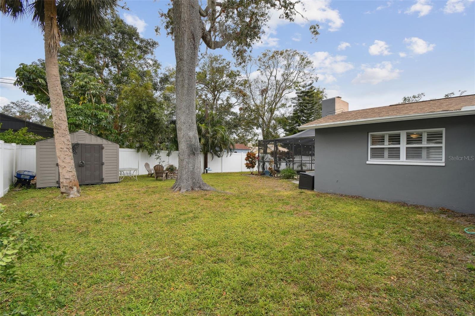 Large Side Yard with Green Space