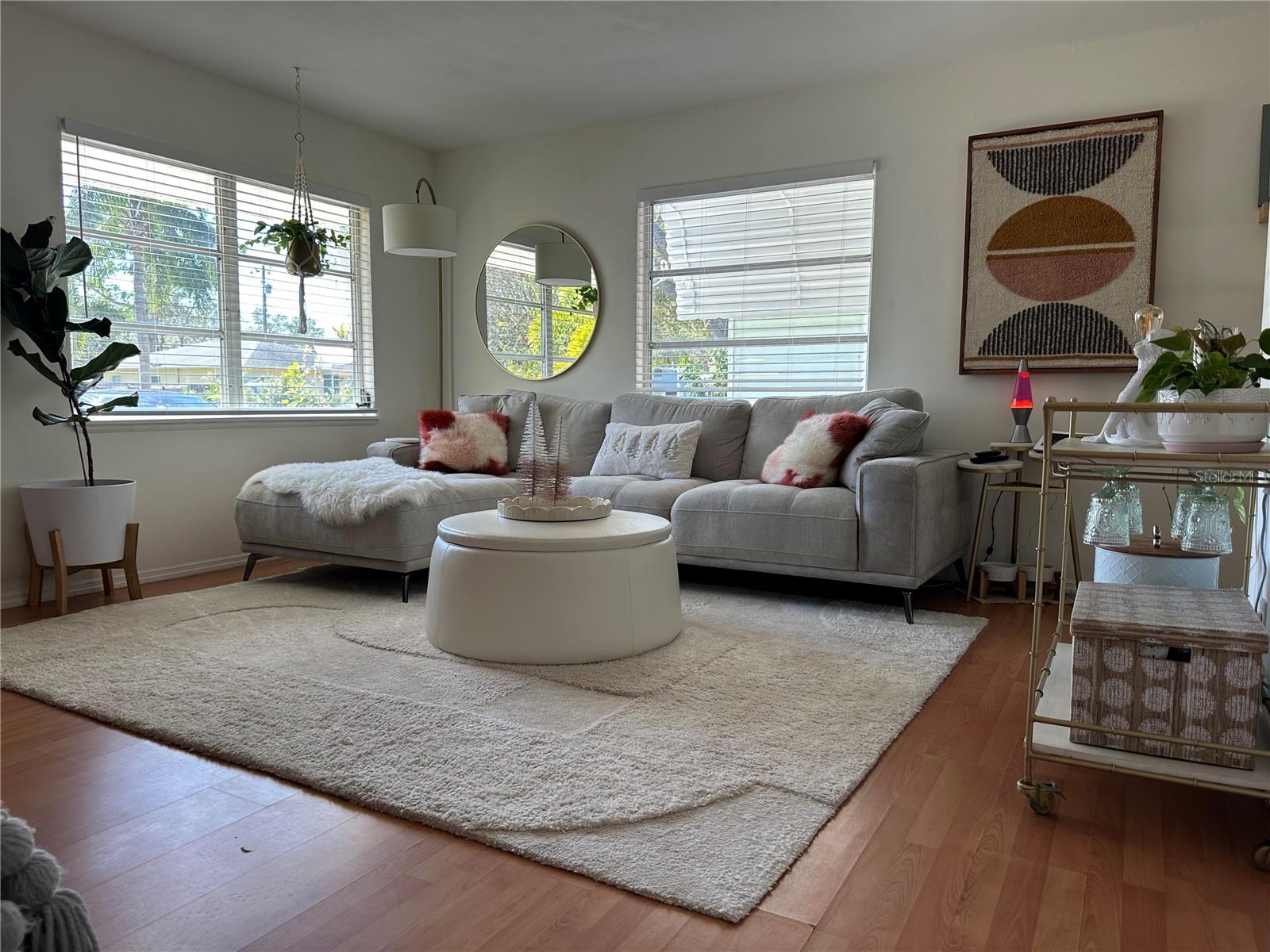 Light and bright living room